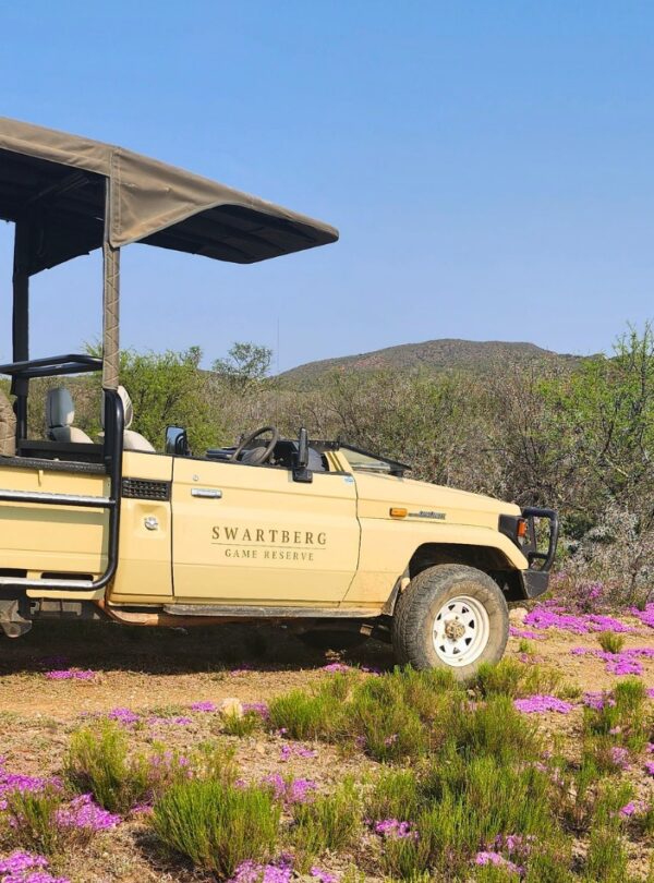 429865094_383681054414806_622615987241757369_n