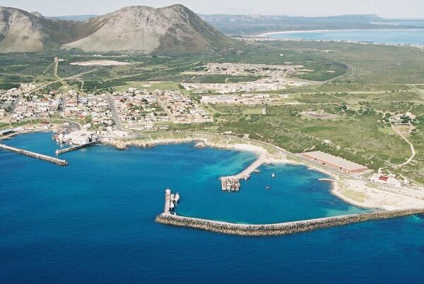 web-marine-dynamics-gansbaai-and-surrounds-gansbaai-harbour-and-mountain-drone-image-768×403